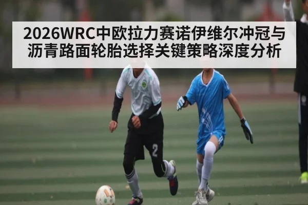 2026WRC中欧拉力赛诺伊维尔冲冠与沥青路面轮胎选择关键策略深度分析